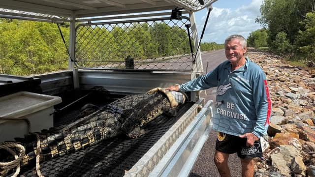 Crocodile caught in creek where children were swimming