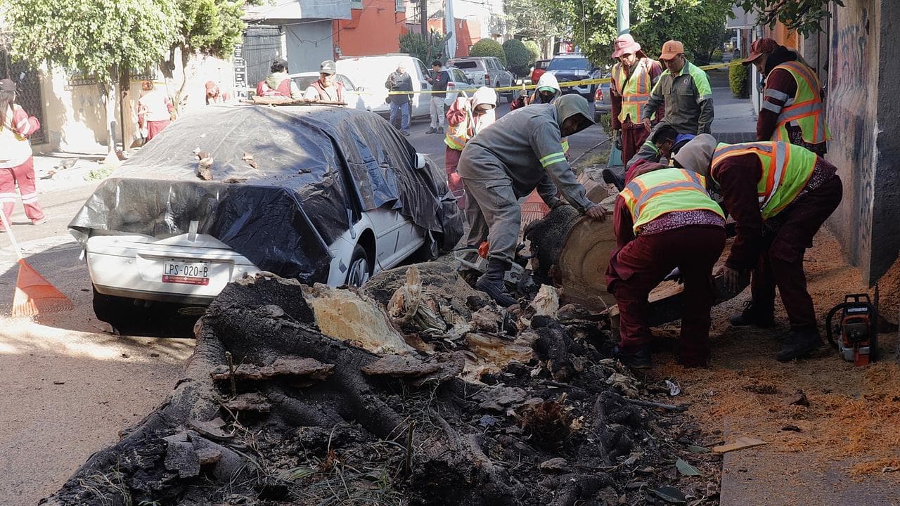 Two dead as powerful earthquake rocks Mexico