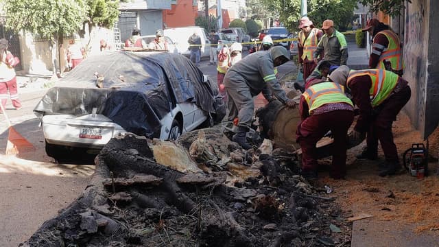 Two dead as powerful earthquake rocks Mexico