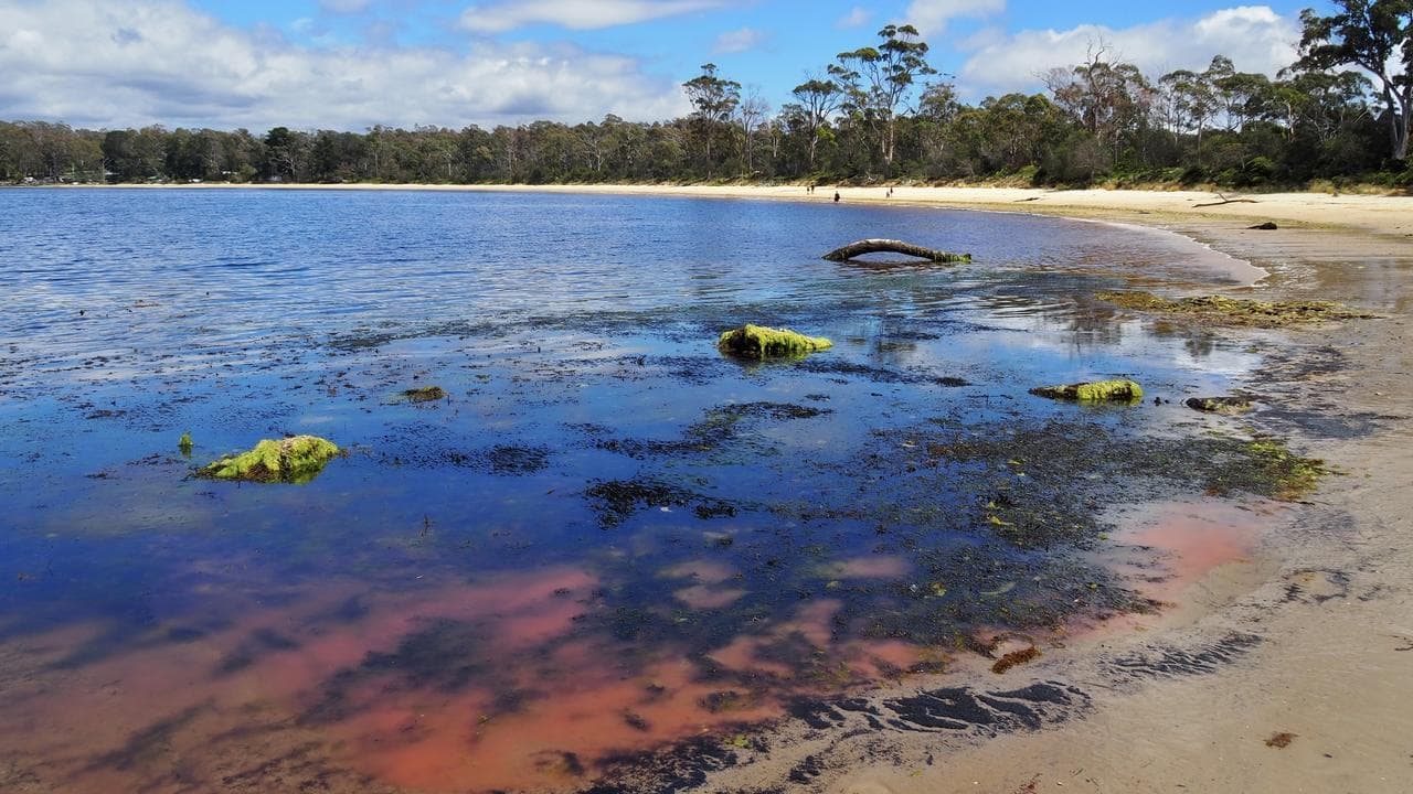Pink sludge found in secluded bays sparks water worries
