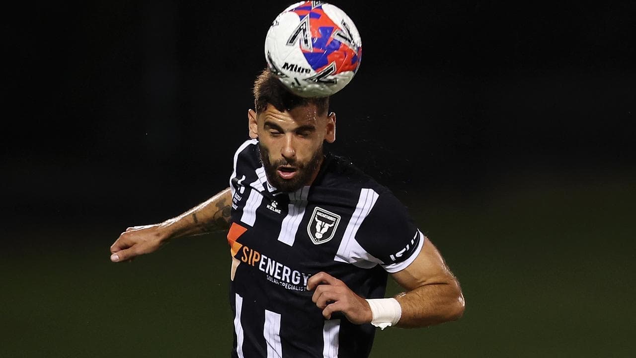 Uskok saves Bulls in draw with ALM leaders Auckland