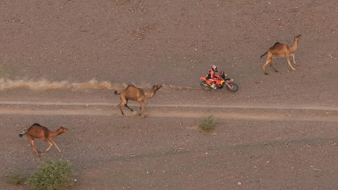 Defending champ Sanders dodges camels to lead in Dakar