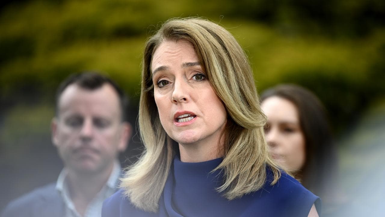 'Game on': coalition aims to win back state in 2027