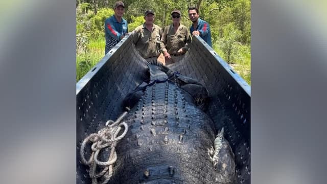 Huge croc caught near tourist spot prompts warnings