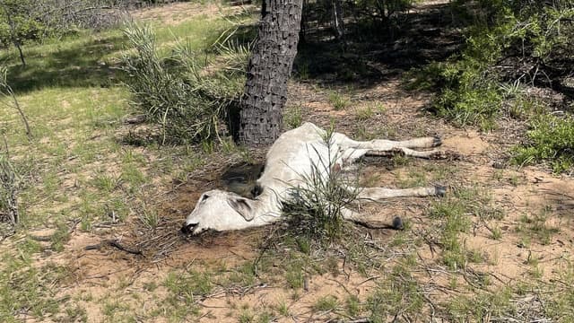 Flood-hit region braces for devastating cyclonic deluge