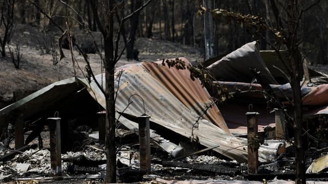 Bushfire losses mount as premier defends fleeing mob