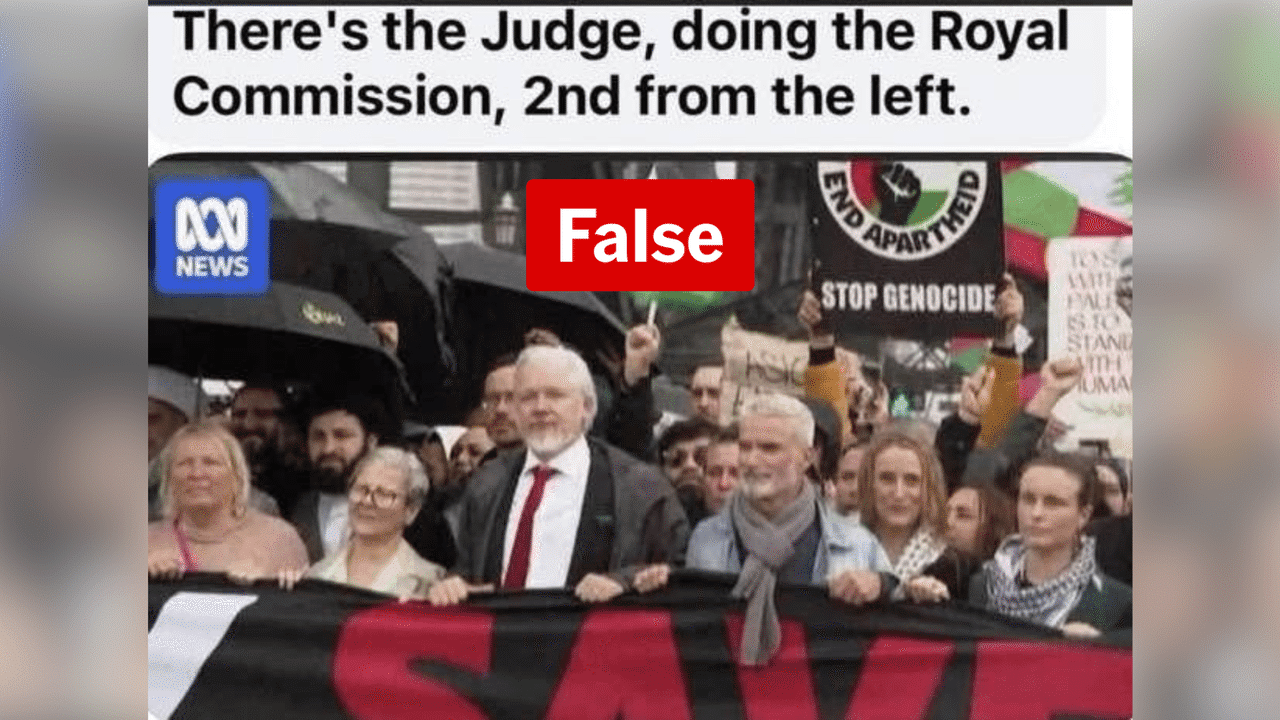 No, royal commission head not pictured at pro-Palestine rally