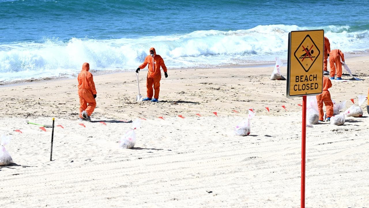 'Bloody good': funding tap turned on by 'poo balls'