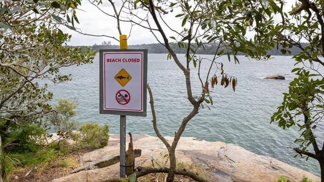 Beaches closed after third shark attack in two days