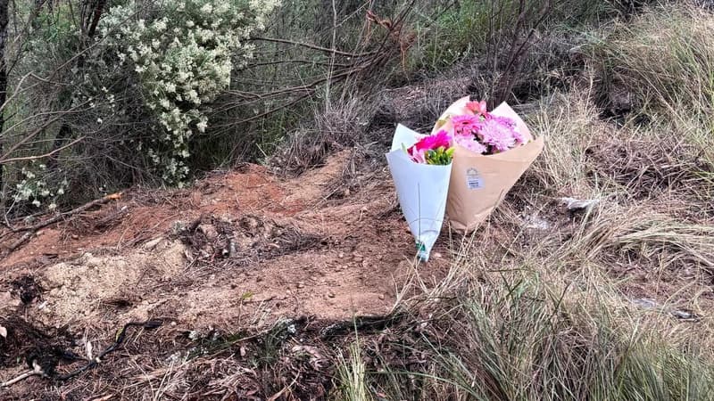 Mother, child killed in horror head-on highway crash