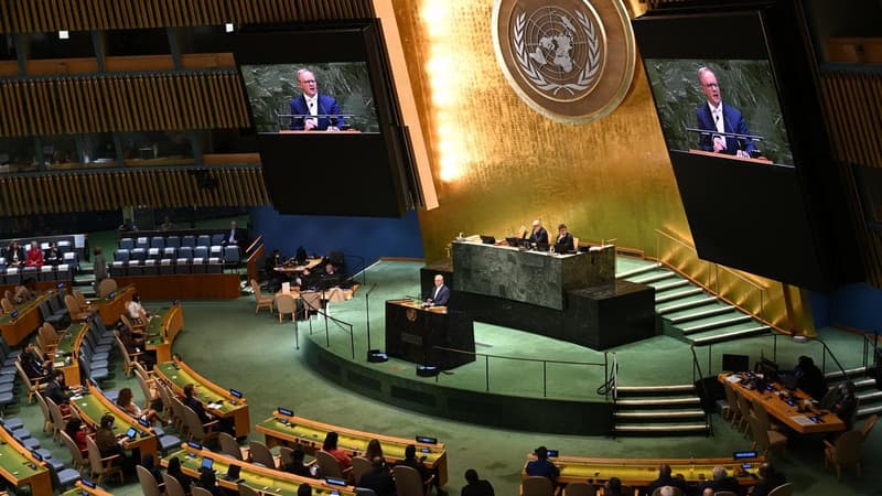 Decades-old UN report isn't a replacement migration plan