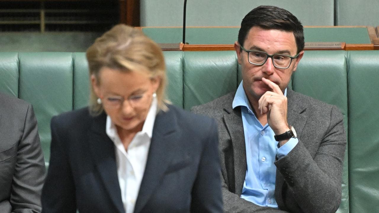Coalition on the brink as Nationals lay blame on leader