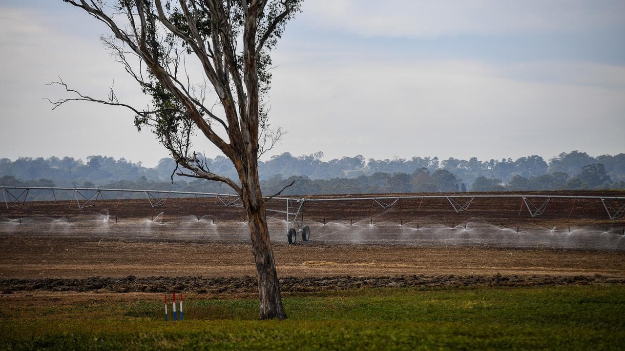 Dam-ed if you do: crackdown on illicit water supplies