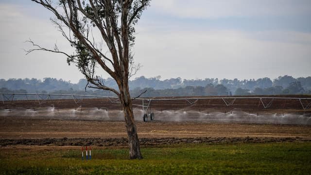 Dam-ed if you do: crackdown on illicit water supplies