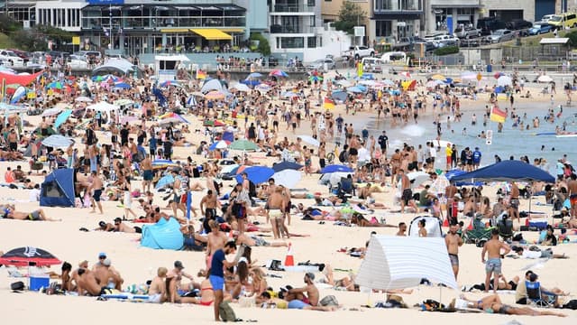 Beaches set for holiday reopening after shark attacks