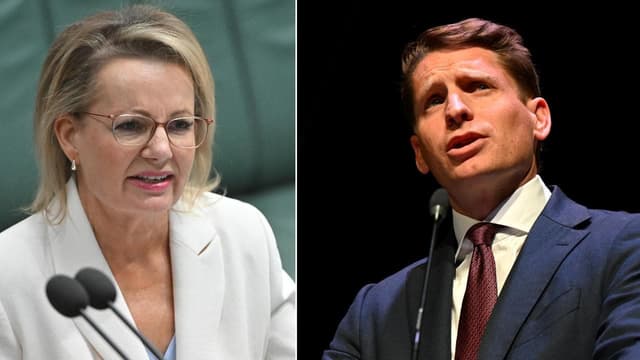 Liberal hopeful branded 'extreme' as foes circle leader