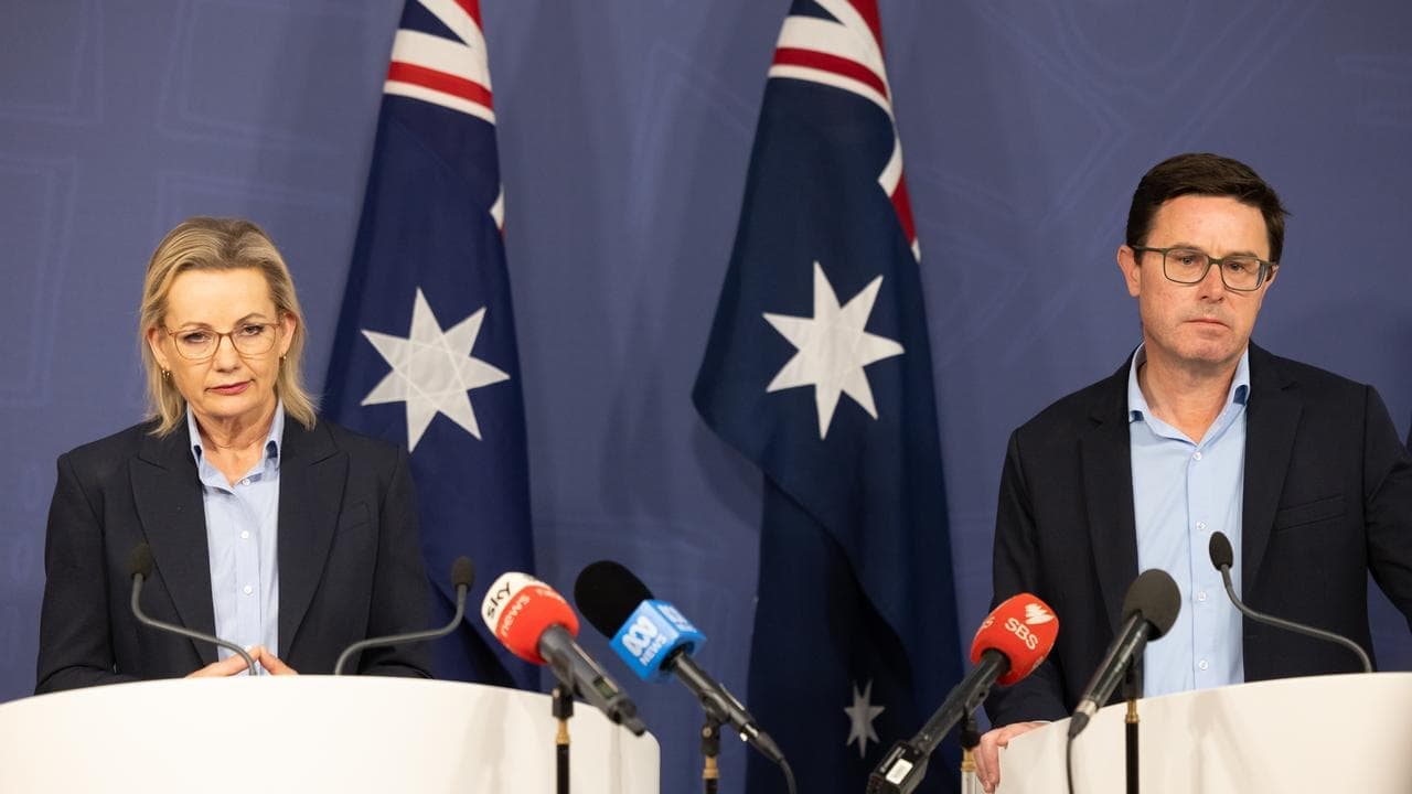 Senior Nats confident Littleproud will remain leader