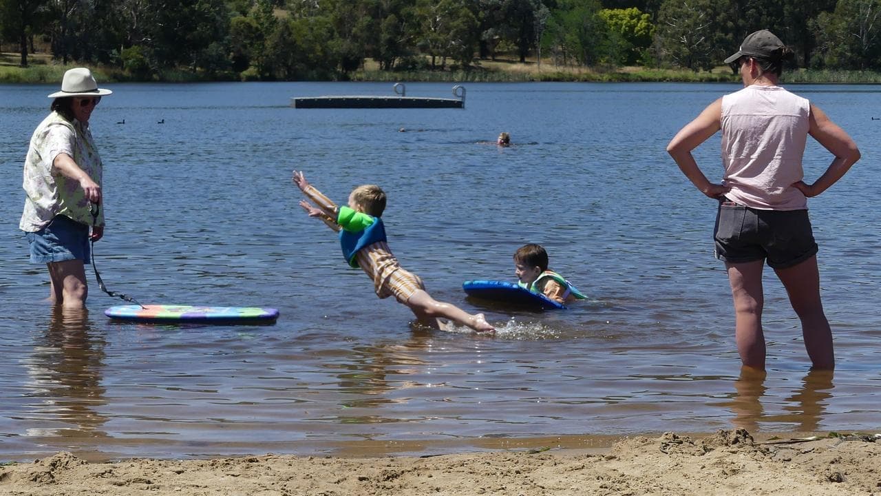 Locals dive for swim and shade as heatwave keeps grip