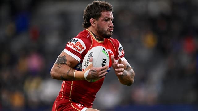 Busted Stone reveals brave Dolphin act amid Plath shock