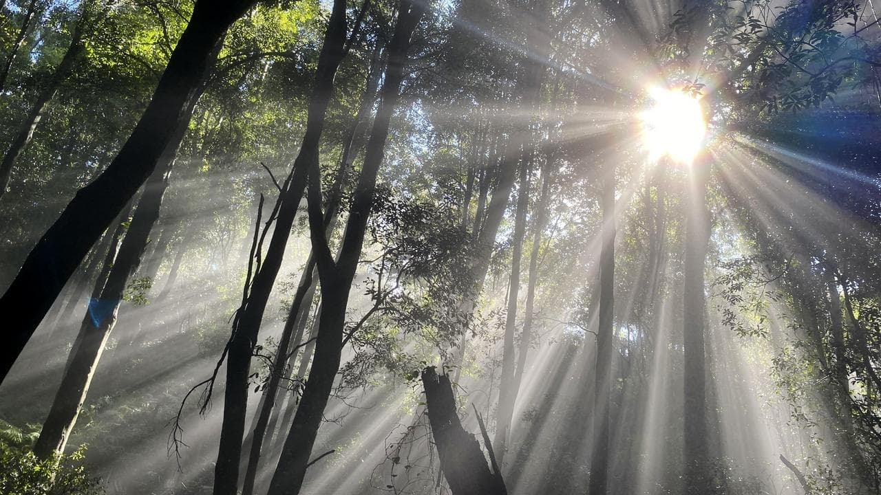 Teenage boy's body found in mountain creek