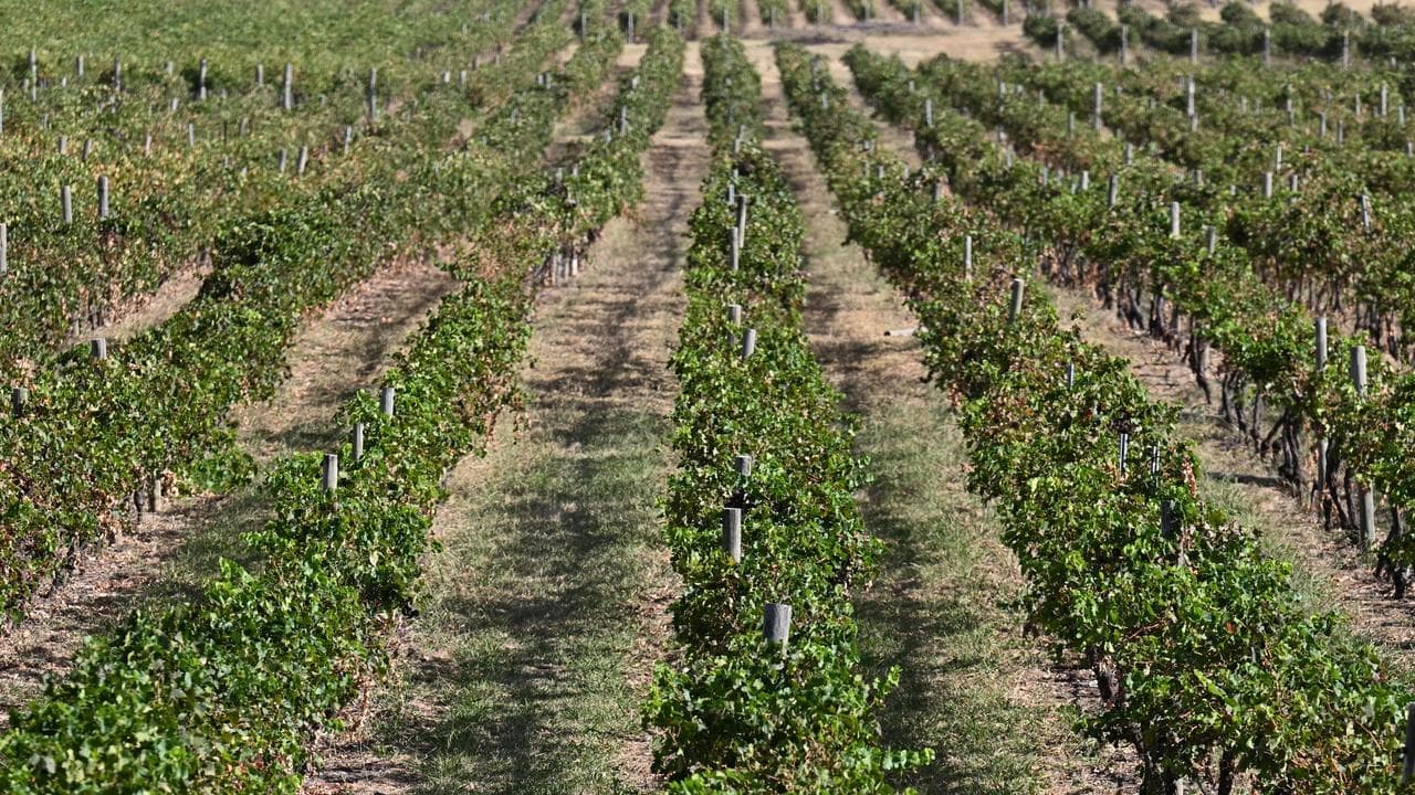 'Geopolitical surprises' lurk for farmers in 2026