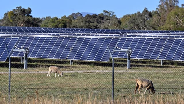 Contentious solar farm green lit, as locals fight on