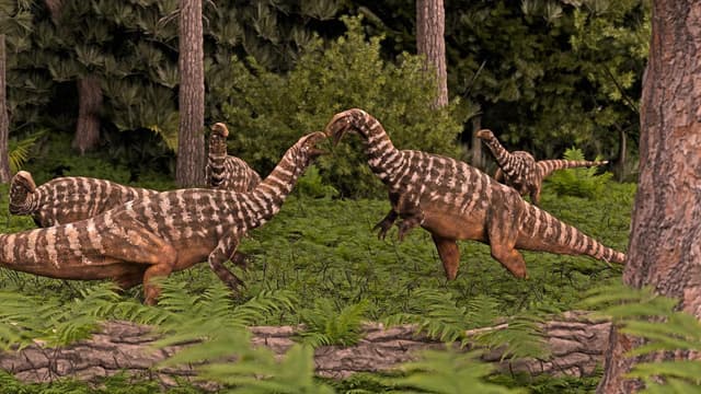 Australia's oldest-known dinosaur fossil identified