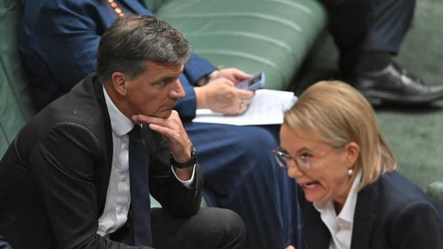 'Traumatised' Libs told to get off TV and sort out feud