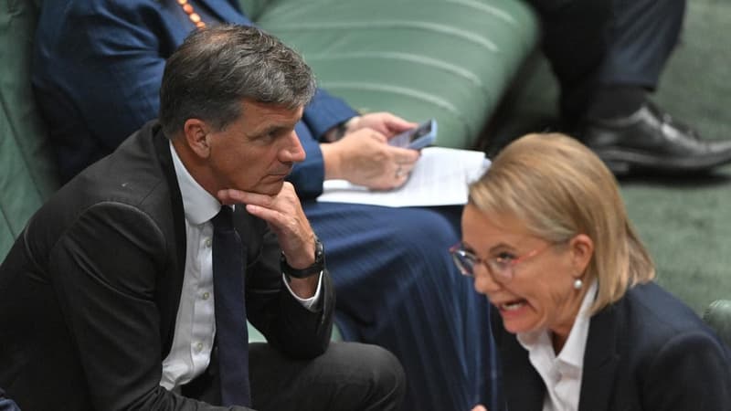 'Traumatised' Libs told to get off TV and sort out feud