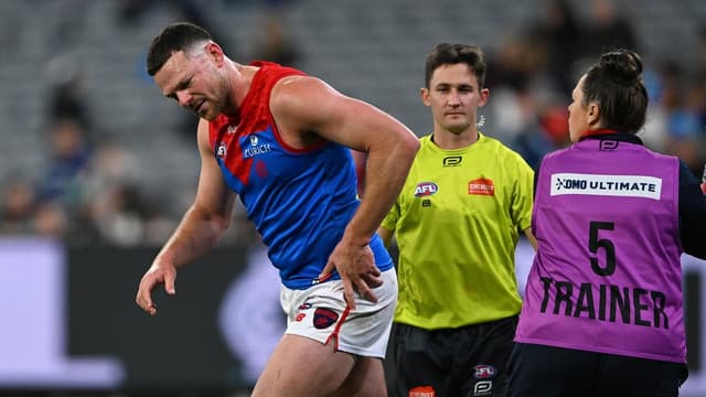 Demons defender May misses AFL pre-season training