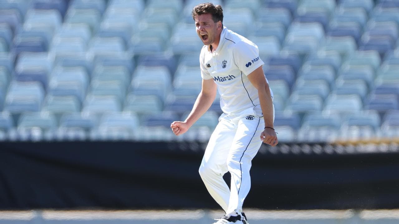Richardson shines for WA but Tasmania still in control
