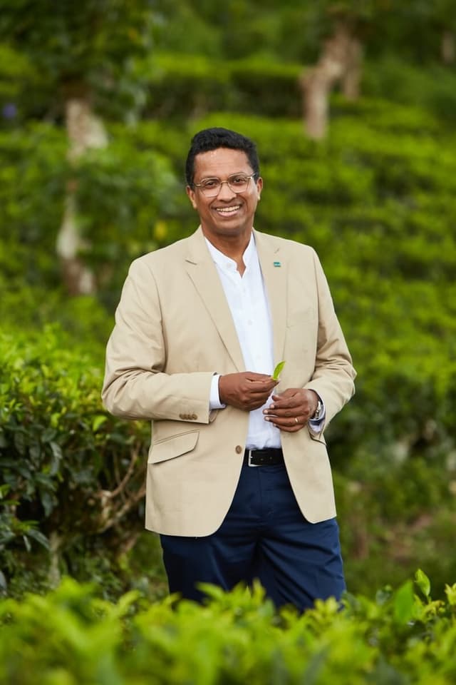 Dilmah Tea: 2026 could be the toughest year for tea growers