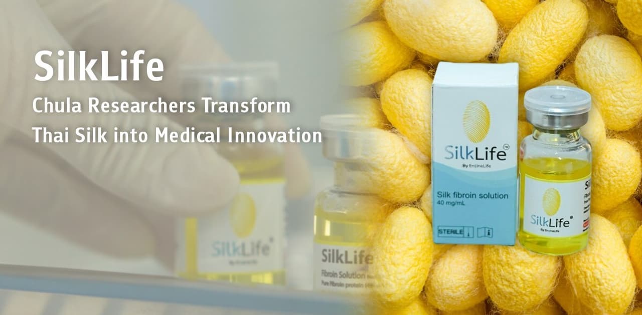 SilkLife: Chula Researchers Transform Thai Silk into Medical Innovation