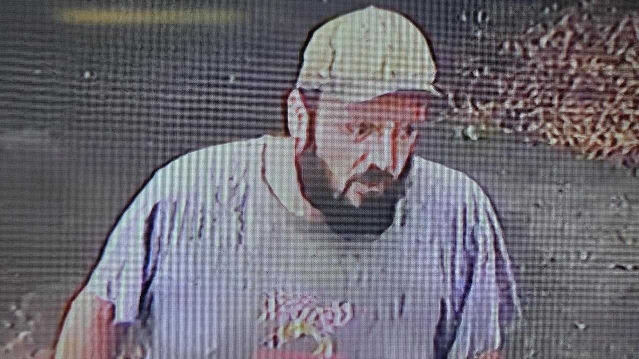 Concern grows as woodchopper missing in bush for days