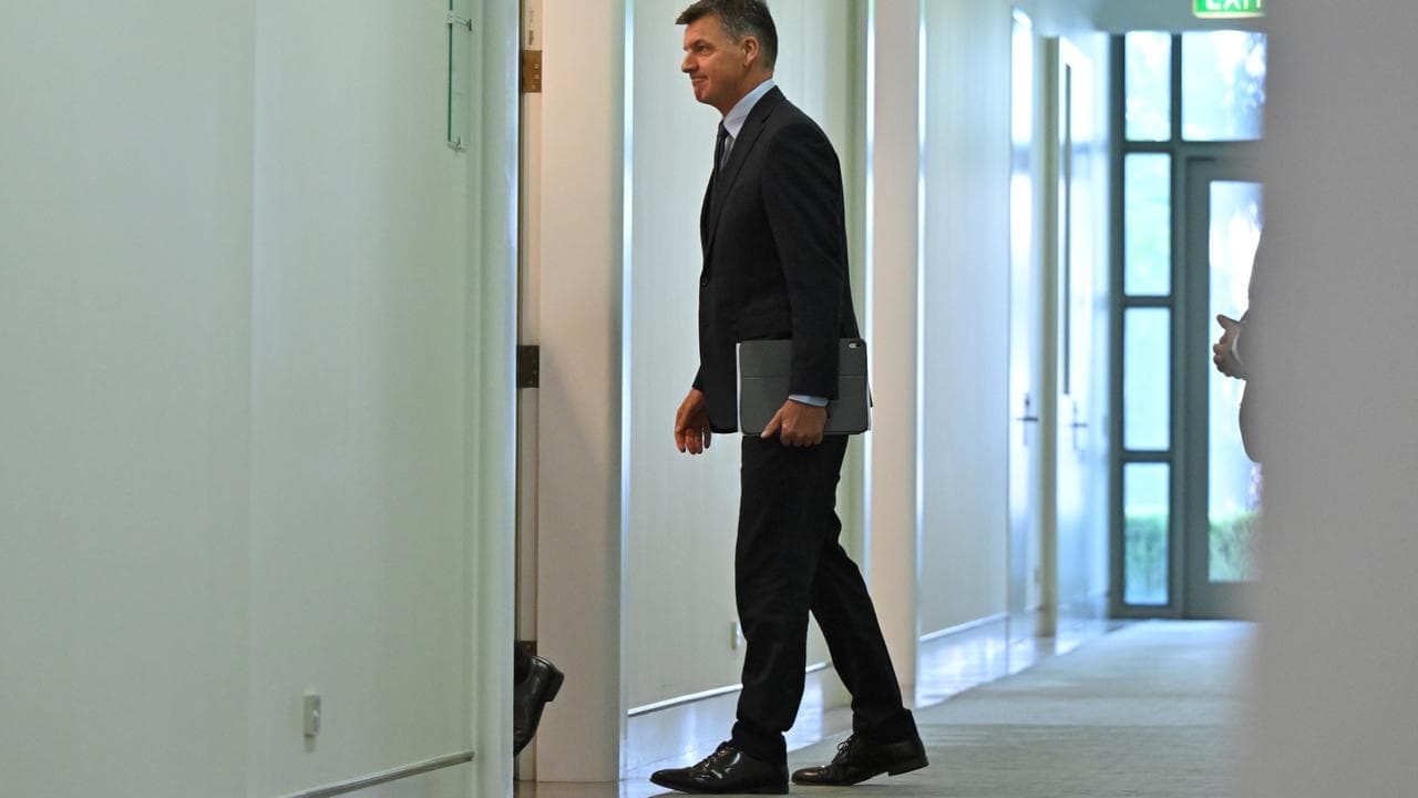 Liberals elect new leader after dramatic spill