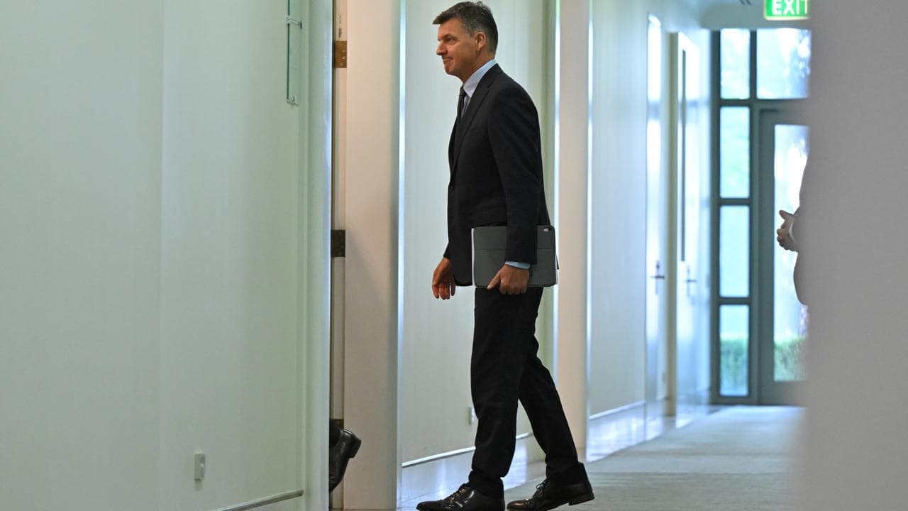 Liberals' first female leader knifed as spill succeeds