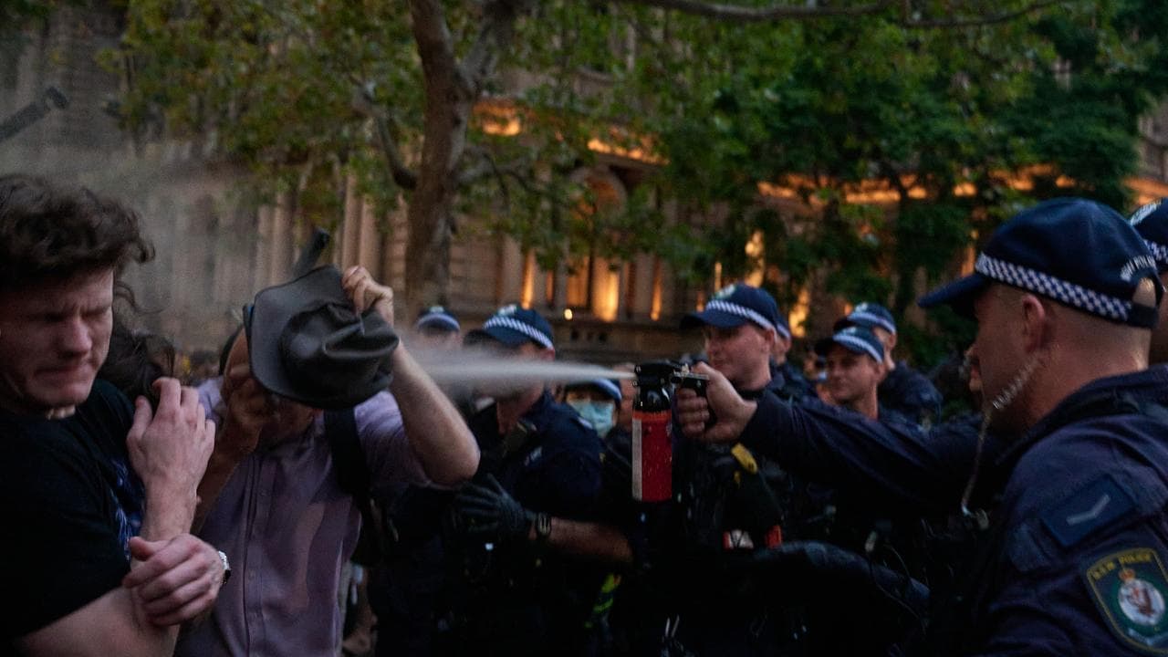 Investigation into violent police protest response