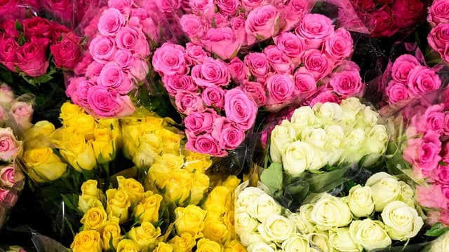 Valentine's spending slows but love remains priceless