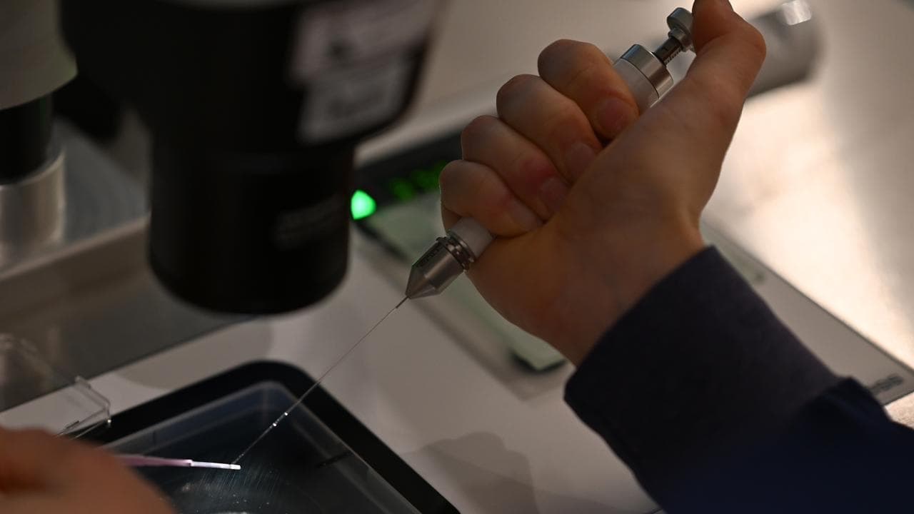 Finally: generational shift here for women in science