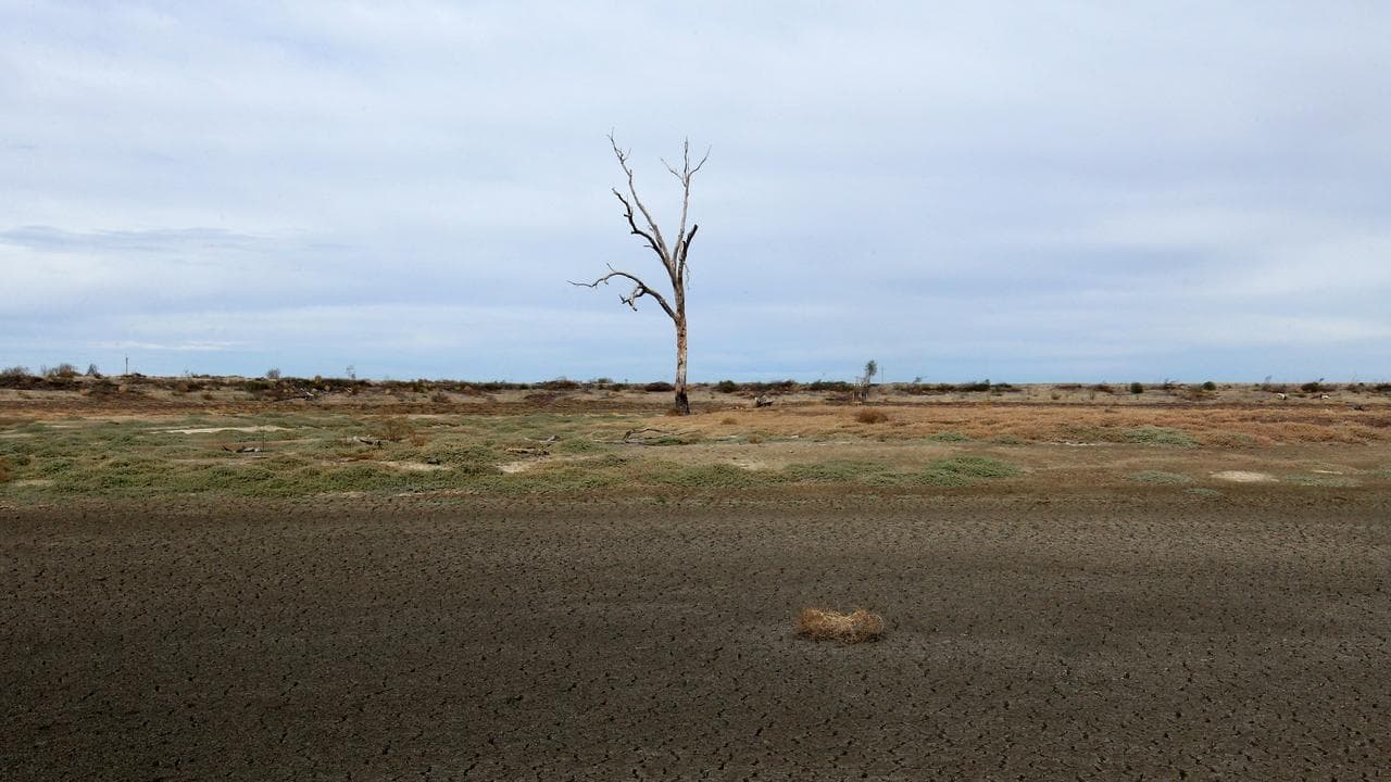 Help on way as farmers grapple with sweeping drought