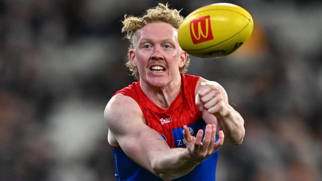 Former Dees star to emulate Hogan in AFL career reboot