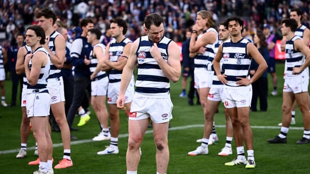 'Heal the wounds': Selwood optimistic on bruised Cats