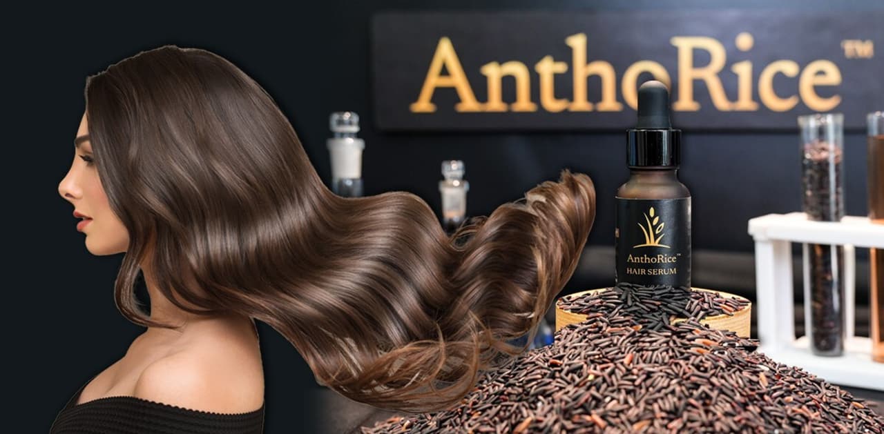 Chulalongkorn University Unveils AnthoRice™ Complex, A Breakthrough in Hair-Root Science