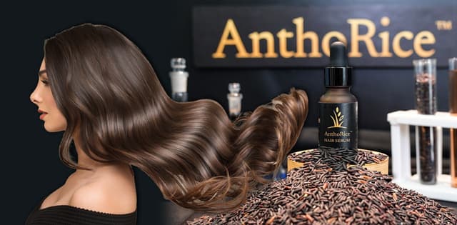 Chulalongkorn University Unveils AnthoRice™ Complex, A Breakthrough in Hair-Root Science