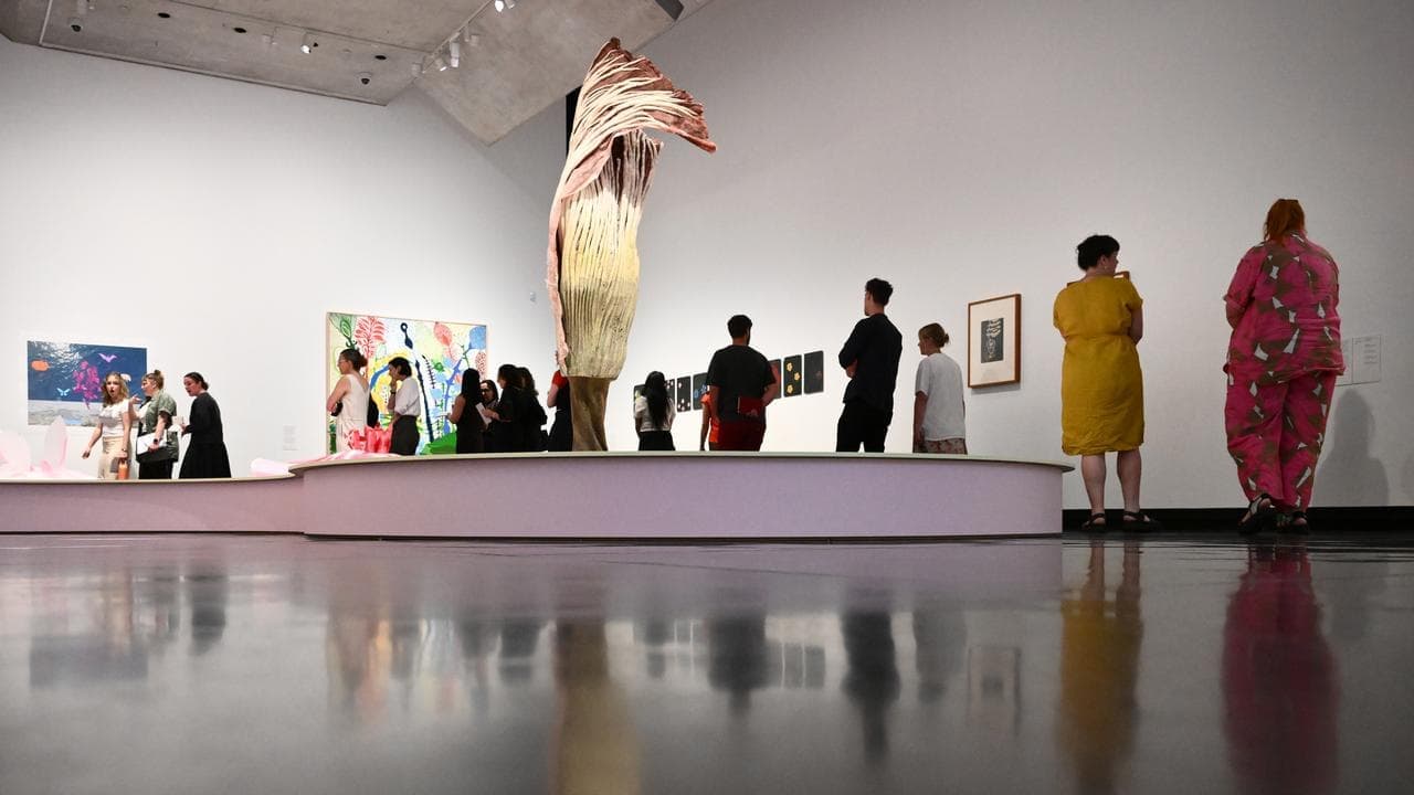 With ants, blooms and birds, museum rethinks uni smarts