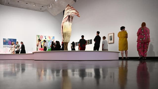 With ants, blooms and birds, museum rethinks uni smarts