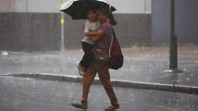 Destructive hailstorms slash insurer firm's bottom line