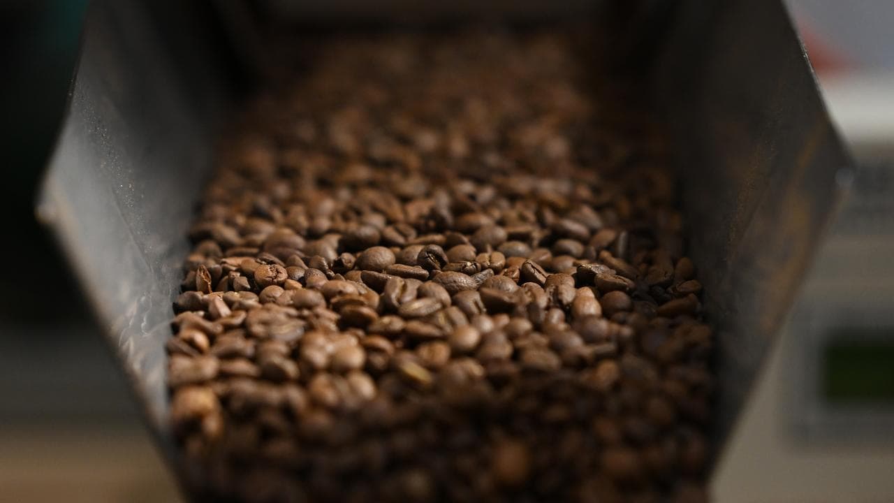 Climate 'coming for our coffee' without farm adaptation