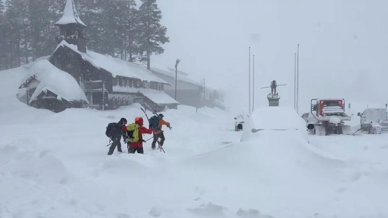 Eight skiers dead in California avalanche, one missing