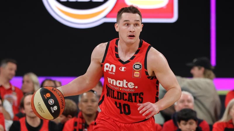 Wildcats pounce on Cotton's absence to down 36ers